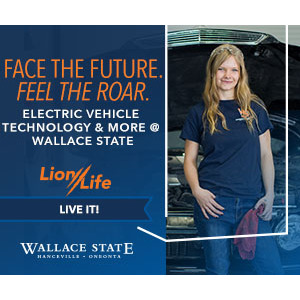 Wallace_Lion-Life-23_Display_Electric-Vehicle_300x250